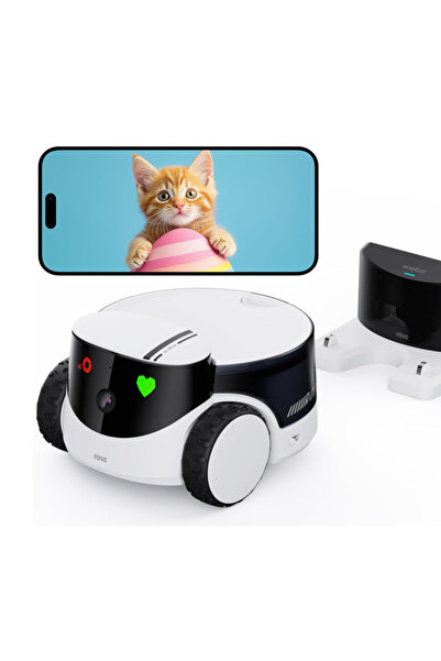 OEM ANIMAL FURNITURE ROOM