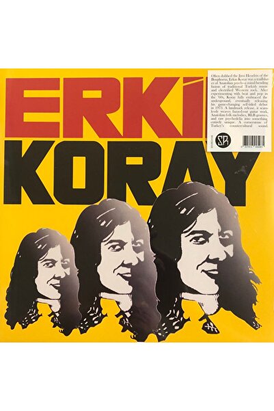 Gereksiz Şeyler Erkin Koray 1973 Plak - Erkin Koray Mesafeler , Yağmur , Çiçe...
