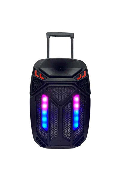OEM SUPER-BASS Portable Bluetooth Active Karaoke Speaker With Two Microphones...