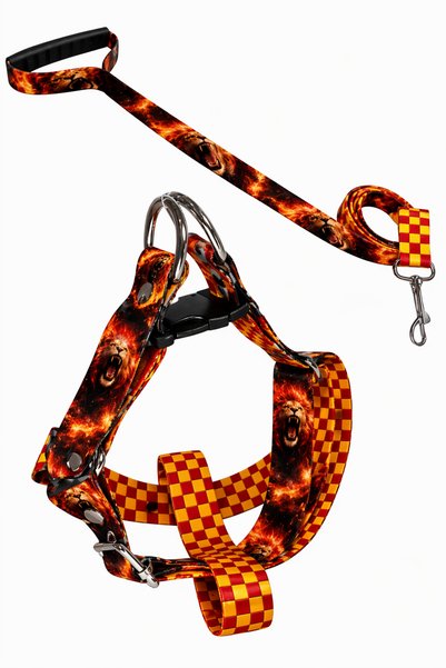Angelapets Fan Series Dog Chest Harness and Walking Strap Set