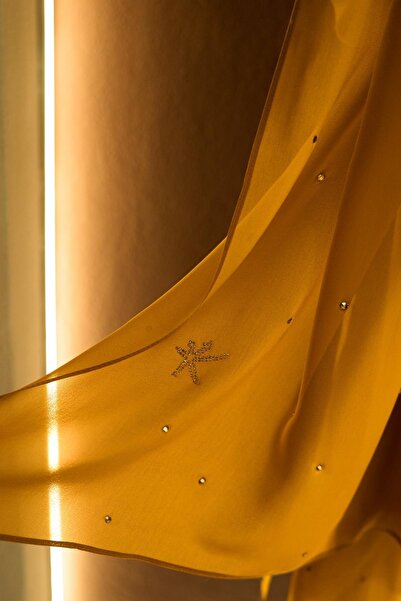 kehva Mihver Tezyin Stone Embroidered Silk Chiffon Shawl – Special Occasion H...