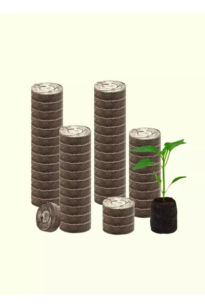 Generic مجموعة نباتات داخلية - 10 قطع في العبوة