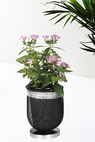 VENON Home Menekşe Saksı 15 Lik Siyah Silver