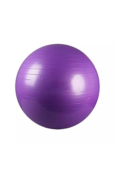 Leyaton Plates Topu 75cm Pompa Mor