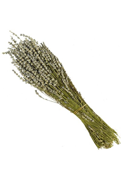 The Pure Therapy Demet Lavanta Kuru Lavanta