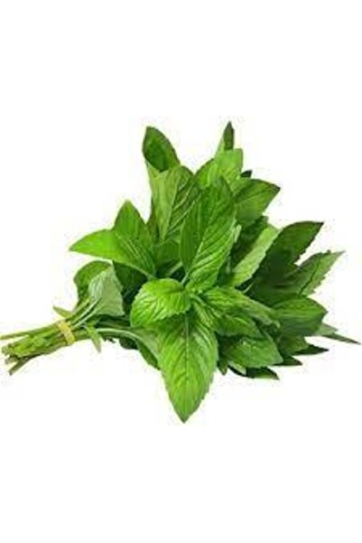 Köy Tohumları 50 Adet Tohum Geleneksel Yediveren Nane Tohumu Sürpriz Hediye S...