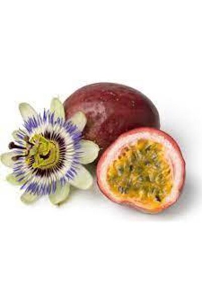 Köy Tohumları 6 Adet Tohum Ithal Nadir Tropikal Tutku Meyvesi Tohumu Passion ...