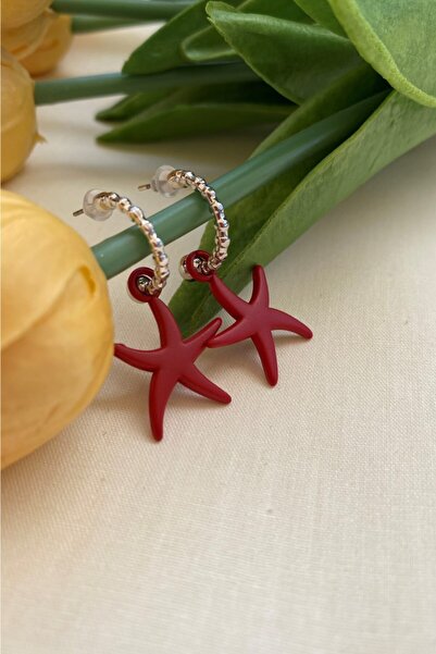 Leerybee ماتي اللون الأحمر أقراط نجمة مضادة للحساسية