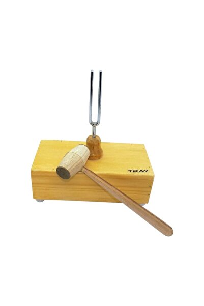 Okul Dünyası Diyapozon 480 Hz Tokmağı Ile