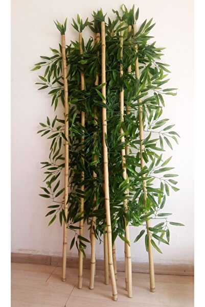 Genel Markalar Yapay Bambu Ağaç Çubukları 10 Adet 1.5 Metre Boyunda Orjinal Bamboo Çubukları Çiçek