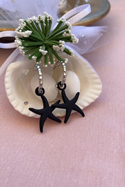 Leerybee ماتي اللون الأسود أقراط نجمة مضادة للحساسية