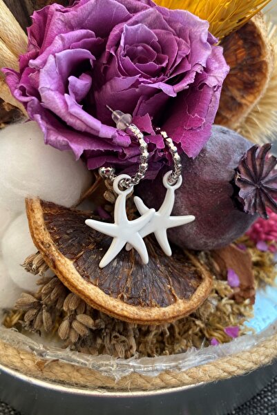 Leerybee Bright White Color Antiallergic Star Earrings