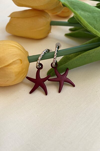 Leerybee Matte Burgundy Color Antilaergic Star Earrings