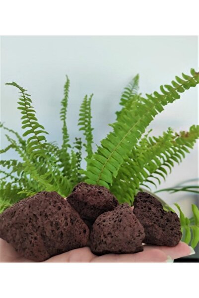 Doğalsan Tarım Akvaryum Taşı 1 kg 5-10 cm Kırmızı Pomza Kırmızı Ponza Volkani...