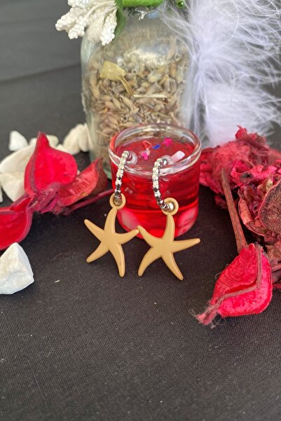 Leerybee ماتي الحليب اللون البني أقراط نجمة مضادة للحساسية