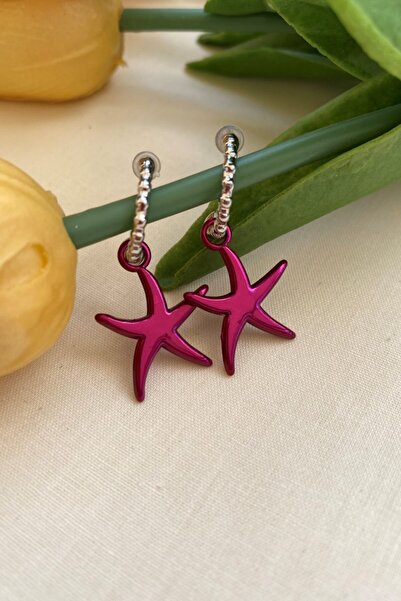 Leerybee Chrome Fuchsia Color Antiallergic Star Earrings