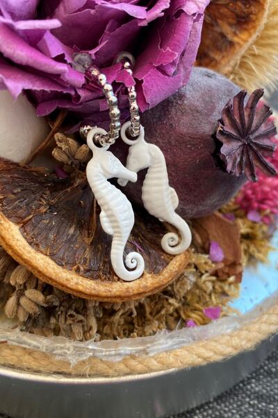 Leerybee Bright White Color Antiallergic Seahorse Earrings