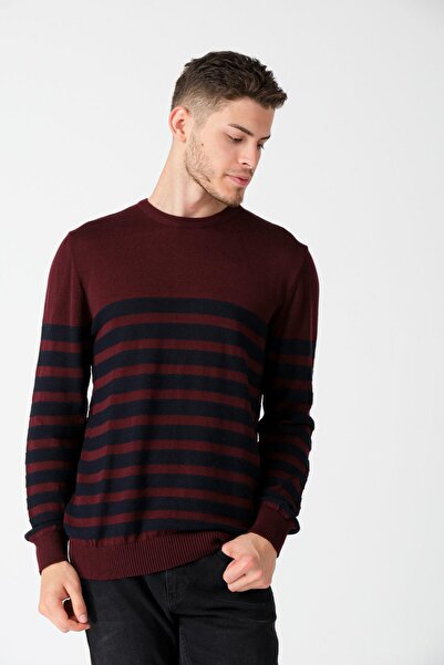 ALEXANDERGARDI Ριγέ πουλόβερ με λαιμόκοψη (e20-5101)