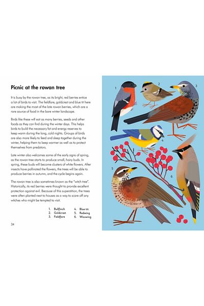 Ladybird Book ما الذي تبحث عنه في الشتاء