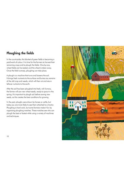 Ladybird Book ما الذي تبحث عنه في الخريف