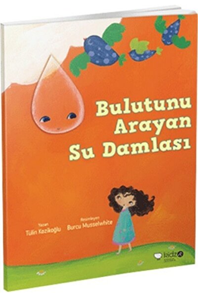 Yeditepe Yayınevi Bulutunu Arayan Su Damlası - Tülin Kozikoğlu