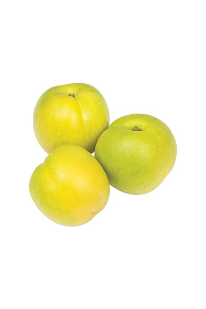 Sebze Meyve Dünyası Beyaz Nektari (500 Gr)
