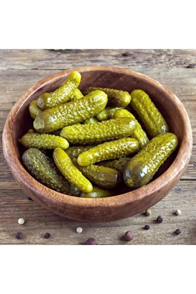 Mutlu Paket Geleneksel Turşuluk Kornişon Salatalık (hıyar) Fidesi (5 Adet)