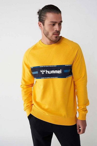 hummel Ανδρικό φούτερ Hmlmelam