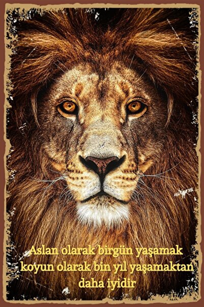 Hayal Poster Aslan Olarak Yaşamak Retro Ahşap Poster