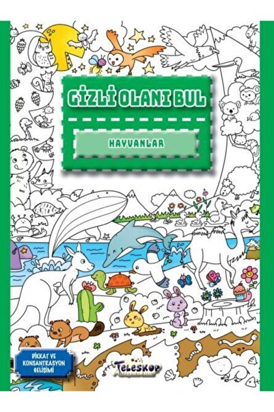 Palme Yayıncılık Animals - Find the Hidden