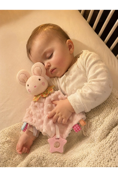 BBSKY Bebek Uyku Arkadaşı - Yumuşak Peluş Diş Kaşıyıcılı Uyku Oyuncağı, Yenid...
