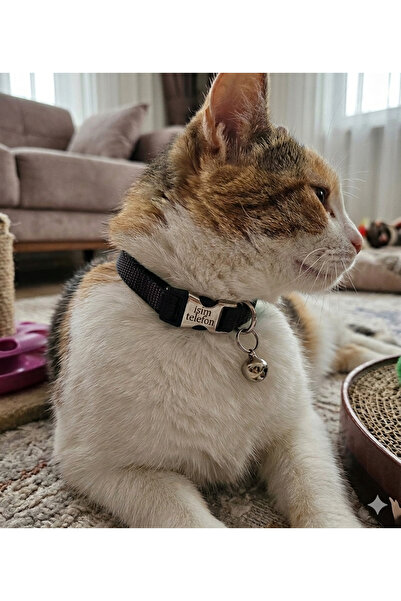 hebmeyy Kedi tasması, isimli kedi tasması, kedi künyesi