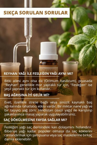 Organy Freshly scented basil essential oil 100% natural basil essential oil 10 ml