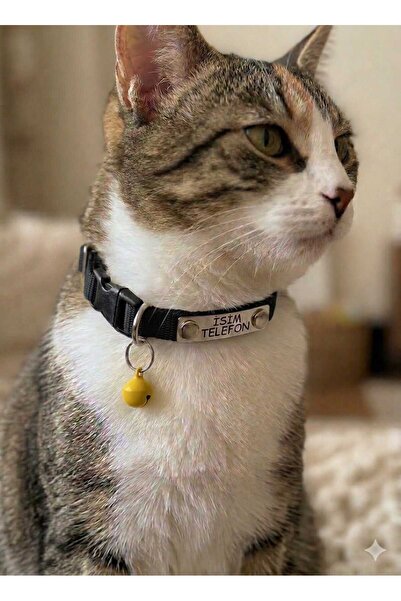 hebmeyy Kedi Tasması, Isimlikli Kedi Tasması, Kedi Künye Tasma, Kaybolursam A...
