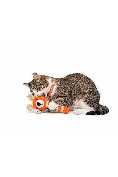 Be Cat Catnıpli Kedi Diş Kaşıma Oyuncağı & kedi tasması seti