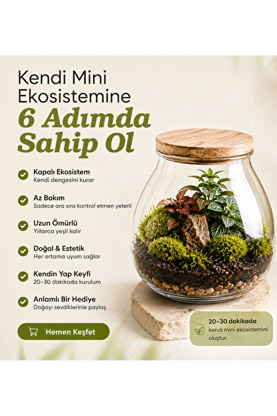 Teraryum Mossora Terra™ Kendin Yap Seti | Canlı Bitkili Kapalı Ekosistem Kiti