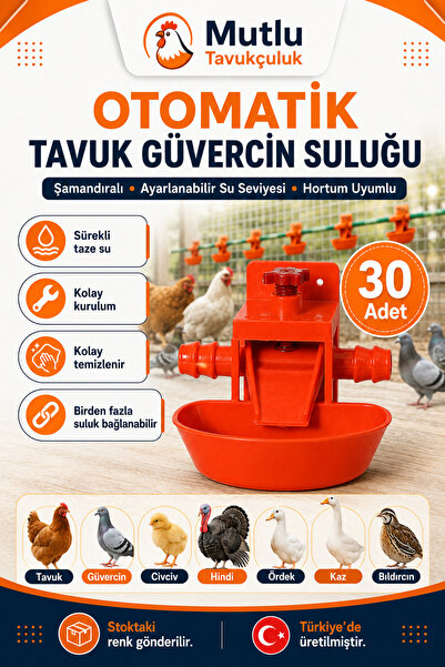 MUTLU TAVUKÇULUK Otomatik Akıllı Tavuk Civciv Suluğu Suluk 30 Adet Kaz Civciv...