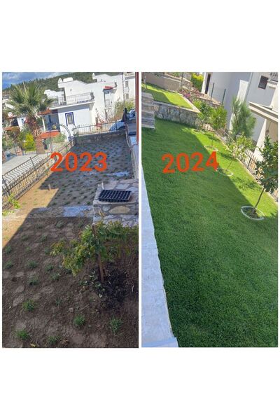 Bahçem Elit Zoysia Japonica Çim Fidesi 16 M2 Için 252 Adet Fide (3 viol) 84'l...