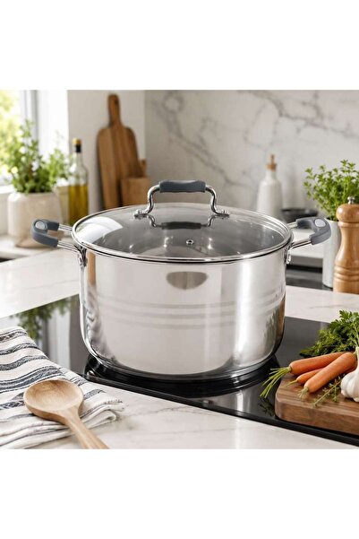 PAN HOME قدر طهي من الفولاذ المقاوم للصدأ مع غطاء قطر 28 سم - كروم