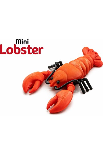 Yapı3D 🦞   Movable Design Keychain – Hard Plastic – Accessory with Flexible ...