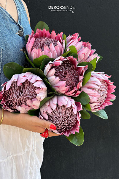 Dekorsende Yapay Protea Dal Pembe 70 cm