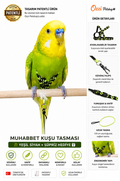 ozzipetshop Muhabbet Kuşu Tasmasi + Süpriz Hediye