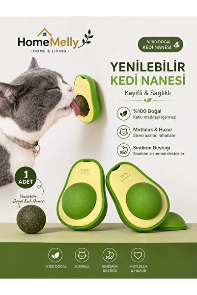 btm home Cat Toy