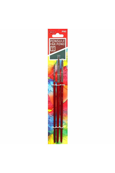 daço Pensula set 3 par ponei PN3 Daco