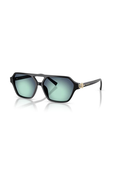 Tiffany &Co. 0Tf4264U 80019S 58 Women's Sunglasses