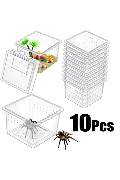 Choice 10pcs 10Pcs Insect Spider Terrariums Breeding Box Hatching Container S...