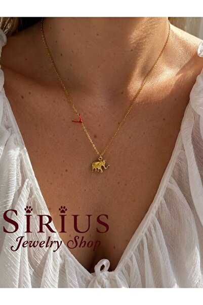 sirius jewelry 316L Çelik Şans Fili Kolye