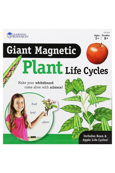 Learning Resources Plant life cycle - magnetic set