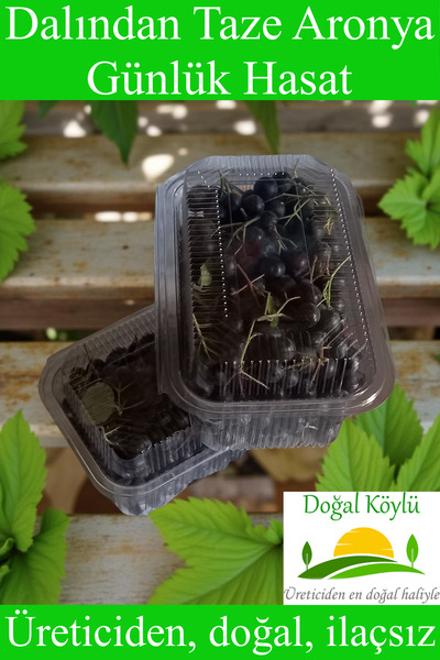 Doğal Köylü Dalından Taze Aronya Meyvesi 500gr - Üreticiden, Doğal, İlaçsız
