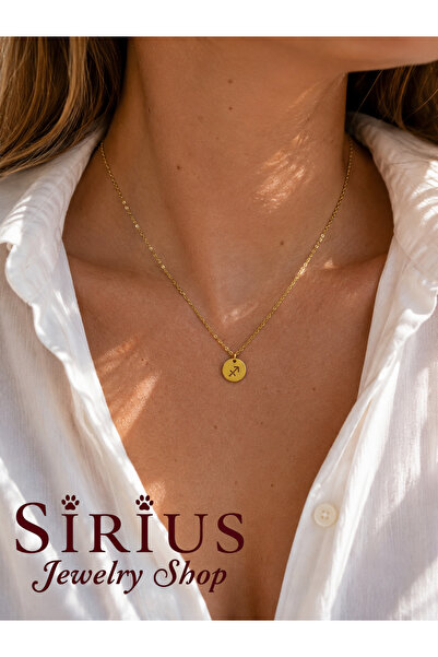 sirius jewelry 316L Çelik Yay Burcu Kolye